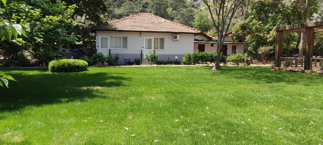 Garden çıralı Kemer